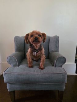 Vintage Children’s Blue Chair