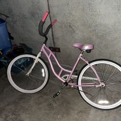 Women’s Adult Bike 