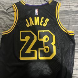 lebron mamba jersey 