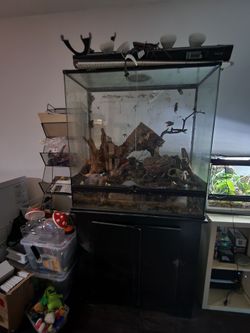 Custom glass top 36 × 18 ×36 exo terra with odyssa light bar (timer needs to be fixed) cabinet and heat lamp