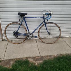 Bike Schwinn