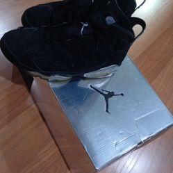 Jordan 6 Retro Metalic Silver 