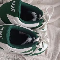 Nike Shoes  Size 9.5 For Women 