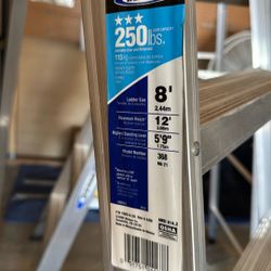 Werner 8 foot ladder
