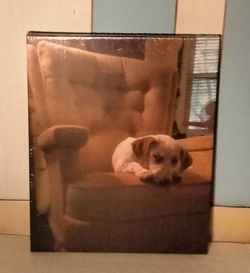 Dog Wall Art