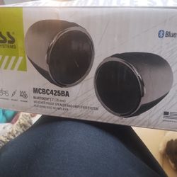 Boss Powerful Bluetooth Speaker 