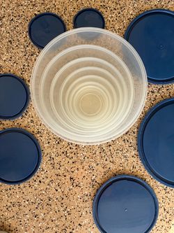 Blue Plastic Storage Container with Lid