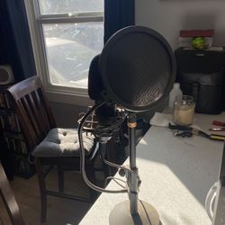 Microphone 