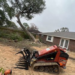 Tree Work