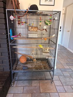 Bird cage parakeet