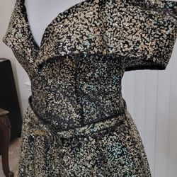 Shimmer Gold and Back Dress 