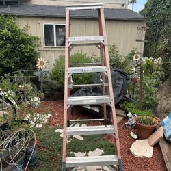 Werner 6 Foot Ladder 