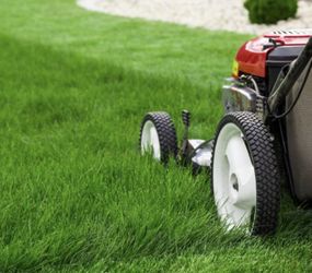 Grass cutting