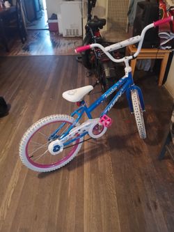 20” bike