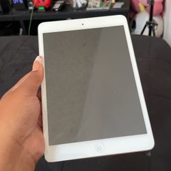 iPad Mini Model A1432
