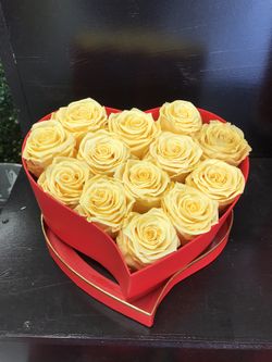 Long lasting preserved roses