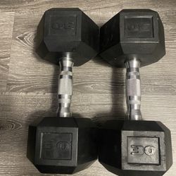 30 LBS Dumbells