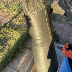 70lb Punching Bag 