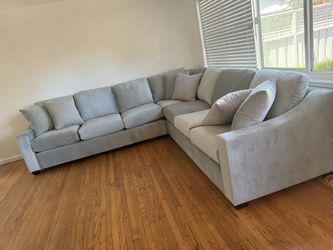 Brand New Couch
