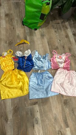 Disney Princess Costume Set
