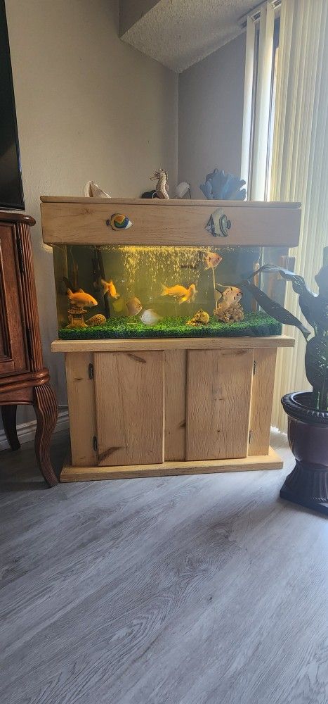 Fish Tank - PECERA