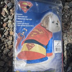 Halloween Dog Costumes 