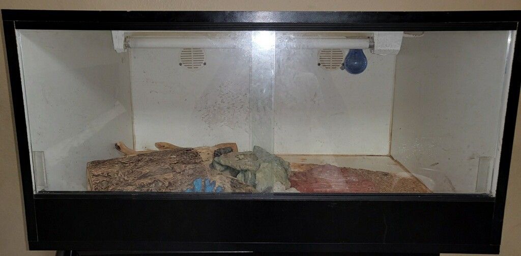 Huge Reptile Habitat Plus Accessories!