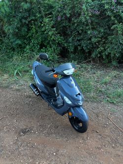 2023 Pronto Moped Scooter