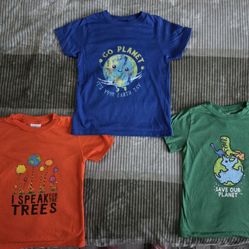 Boys t-shirt bundle (3 shirts) size 3T