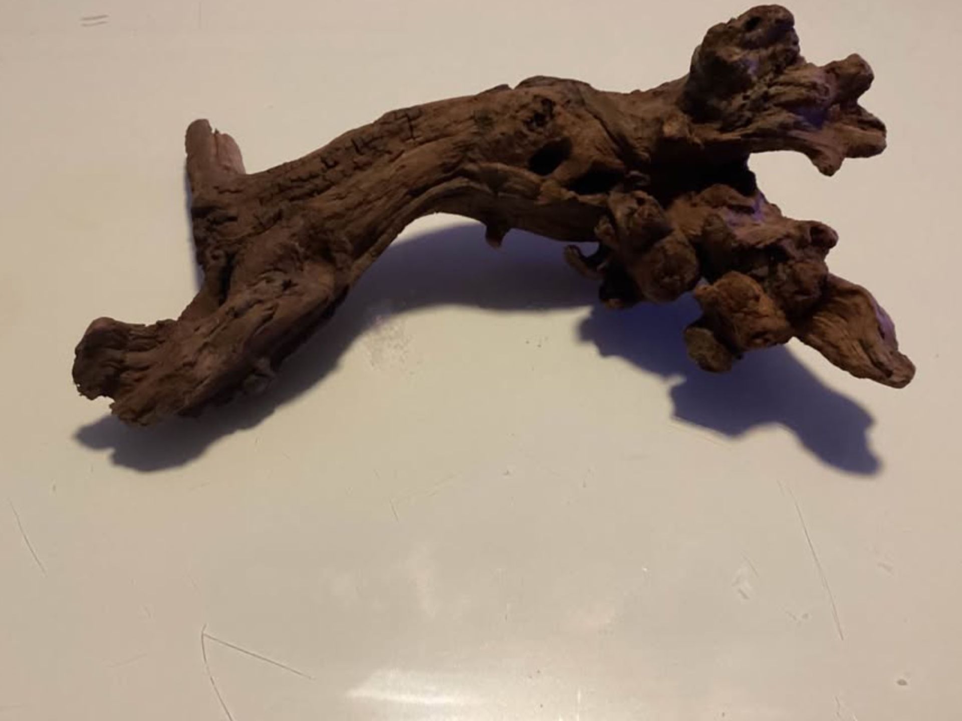 Fish Tank Decoration