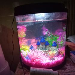 2.5 Gallon Fish Tank 