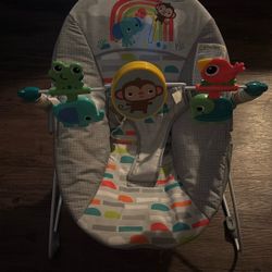 Baby Bouncer