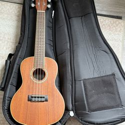 Cordoba Ukelele - Great Condition!