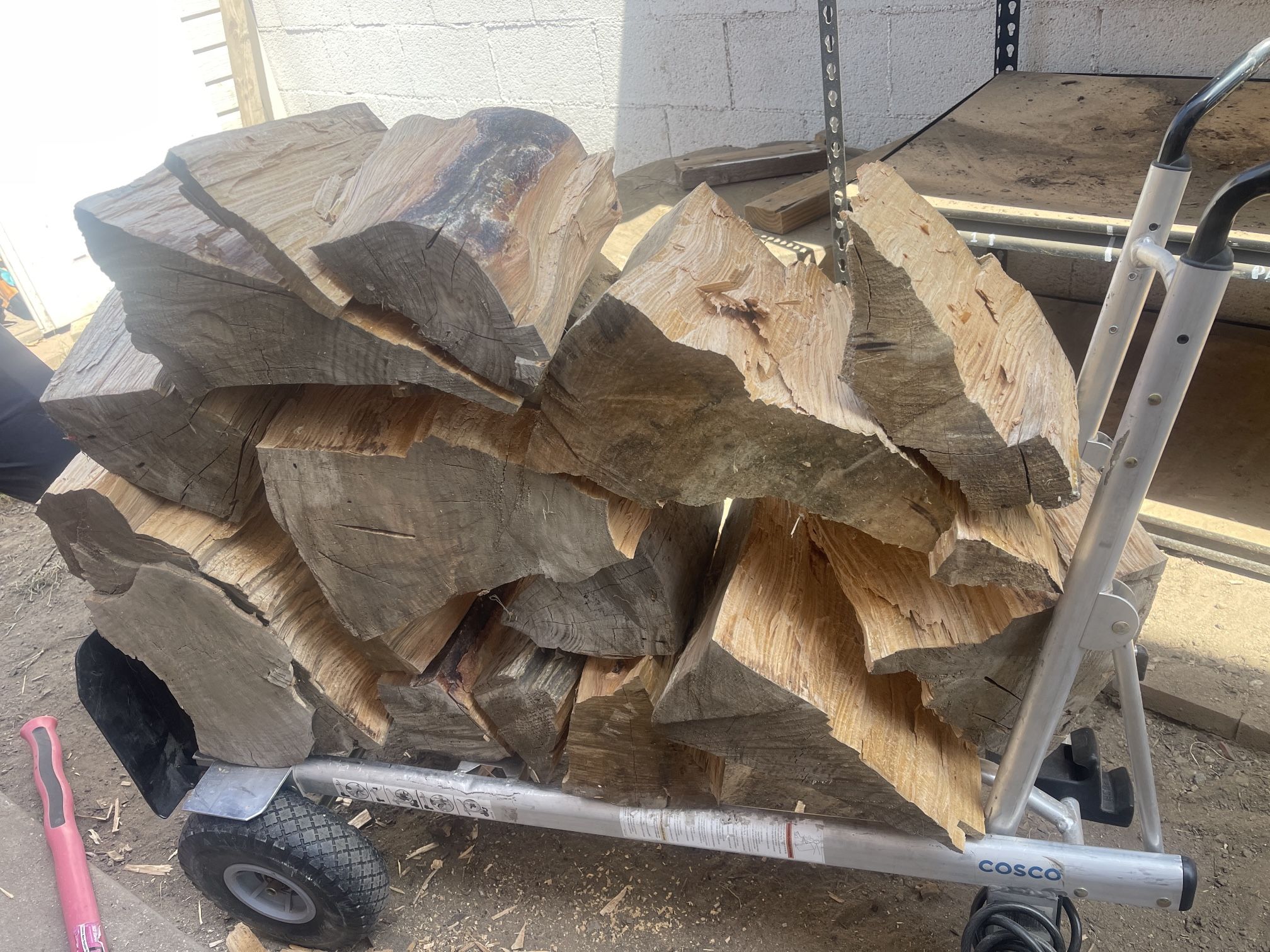 FREE Firewood - Carson