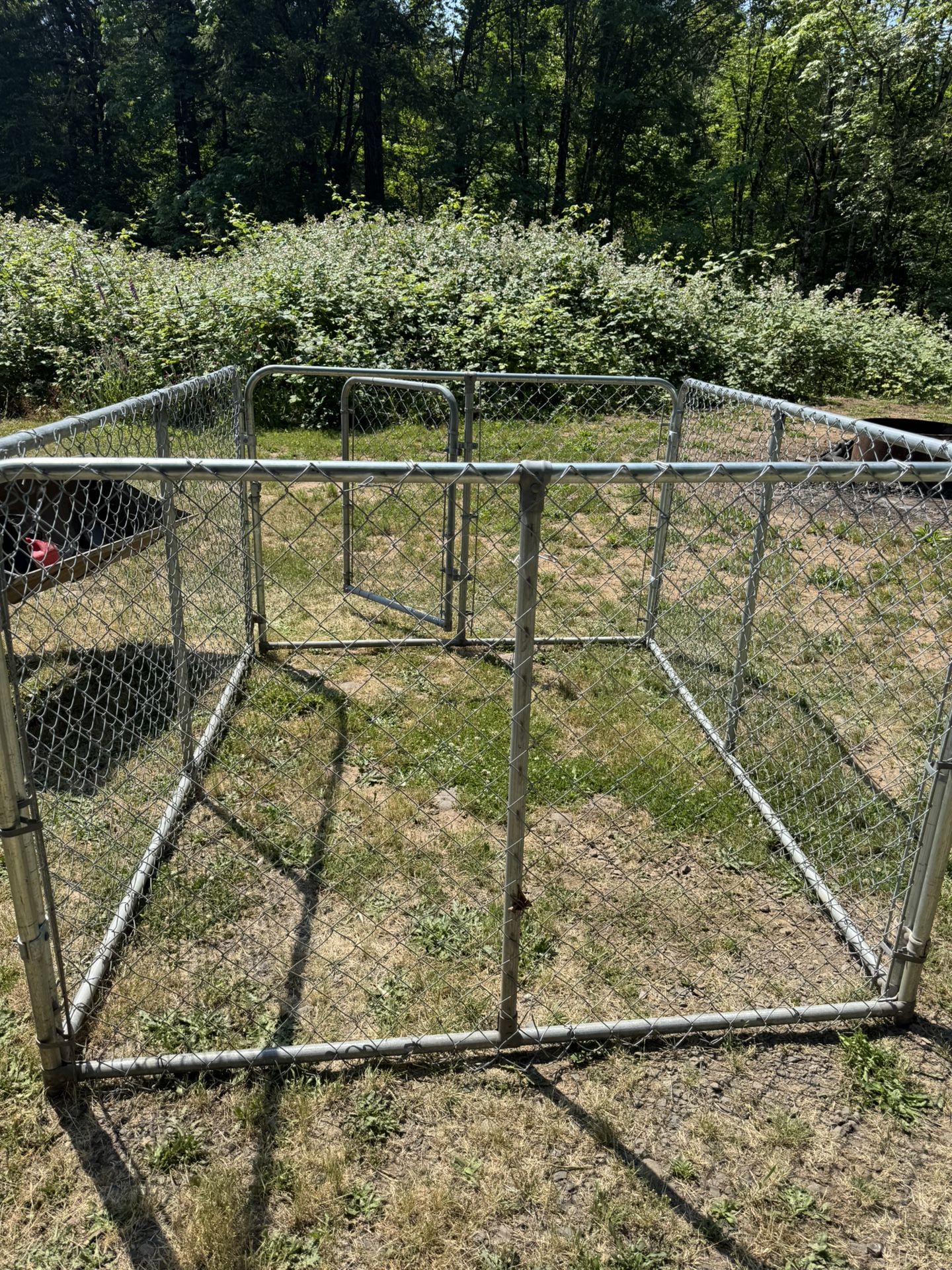 Dog Kennel Run