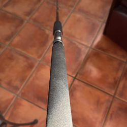 Custom Saltwater Rod