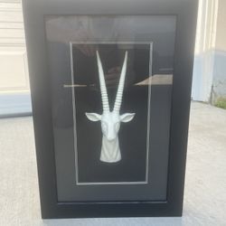Framed White Antelope
