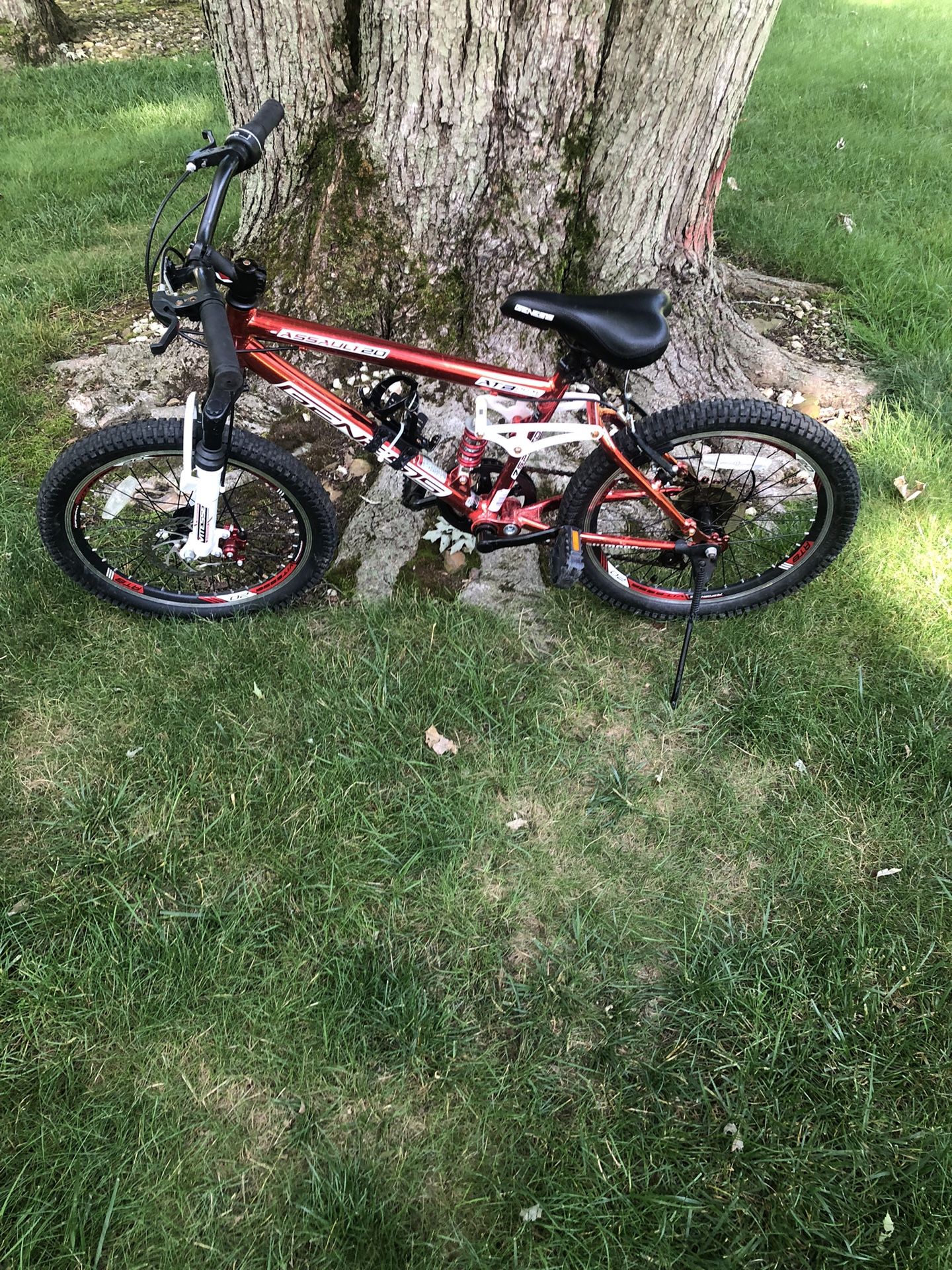20” Mountain Bike (disc Brake)