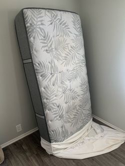 Free Twin Size Mattress