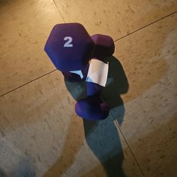 2-2 Lb Hand weights Purple