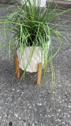 Artificial flower in pot