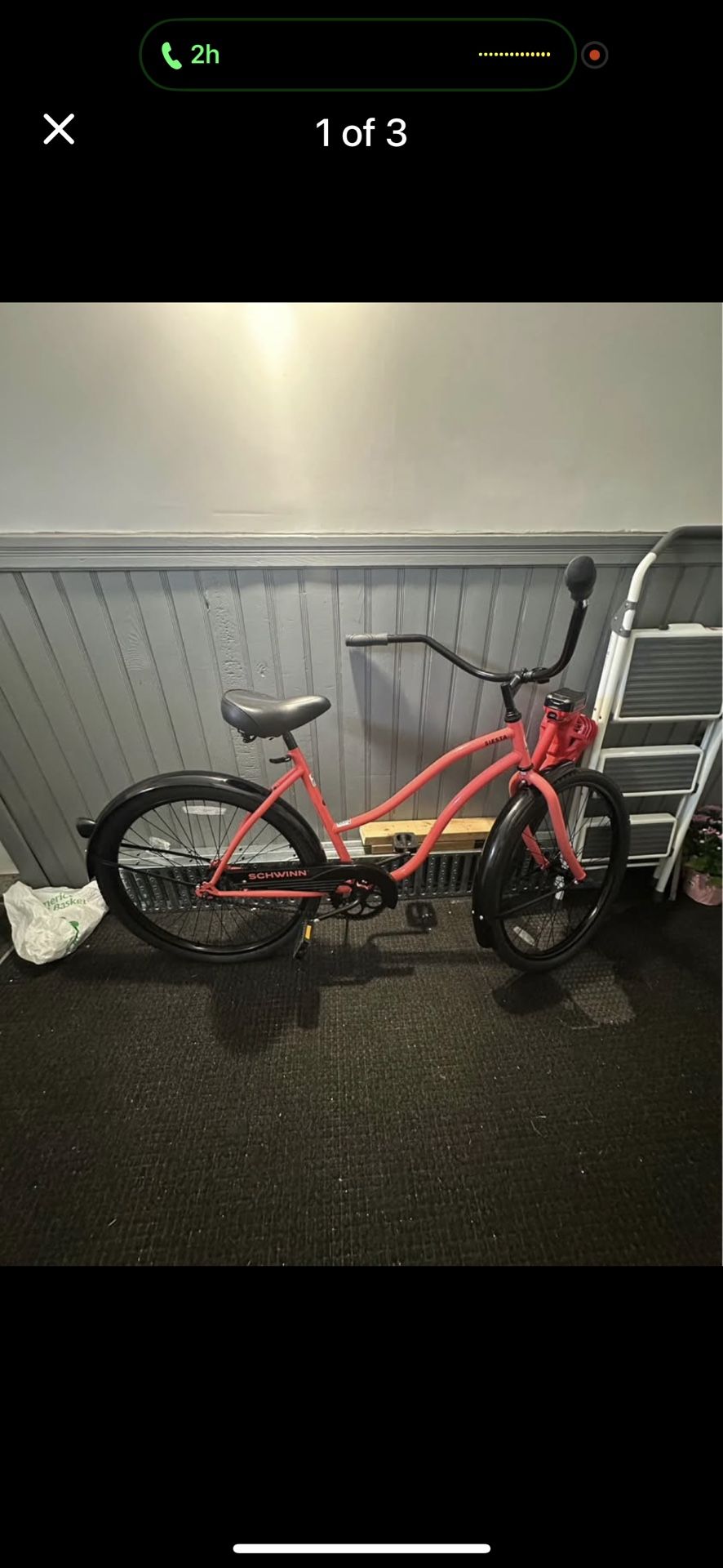 Schwinn Cruiser