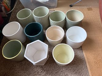 5 inch pots