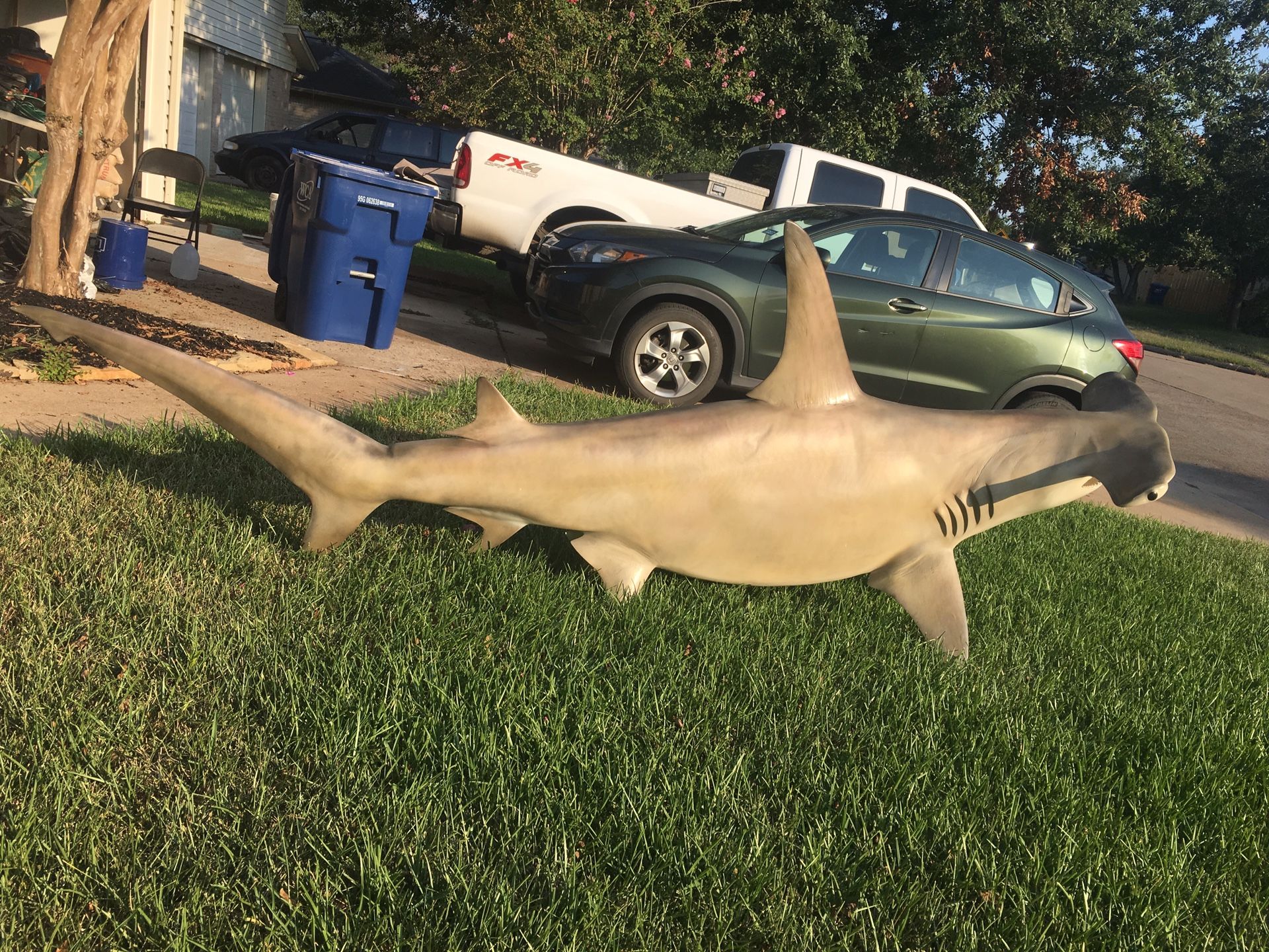 Huge Hammerhead Shark Taxidermy lifesize Mount for Sale in Houston, TX
