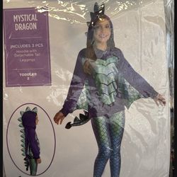 Mystical Dragon Kids Costume Size 2T