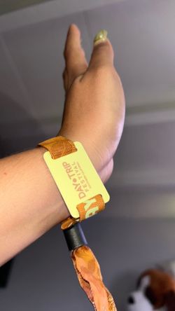 VIP Day trip Sunday ticket