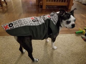 Dog jacket