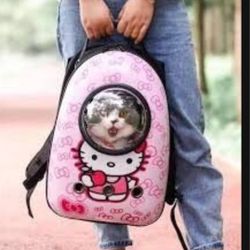 Hello Kitty Pet Carrier