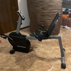 Exercise Bike Schwinn 