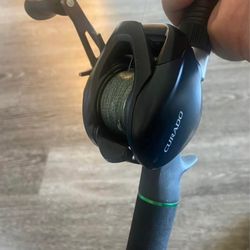 Dobyns 806 With Curado 300 